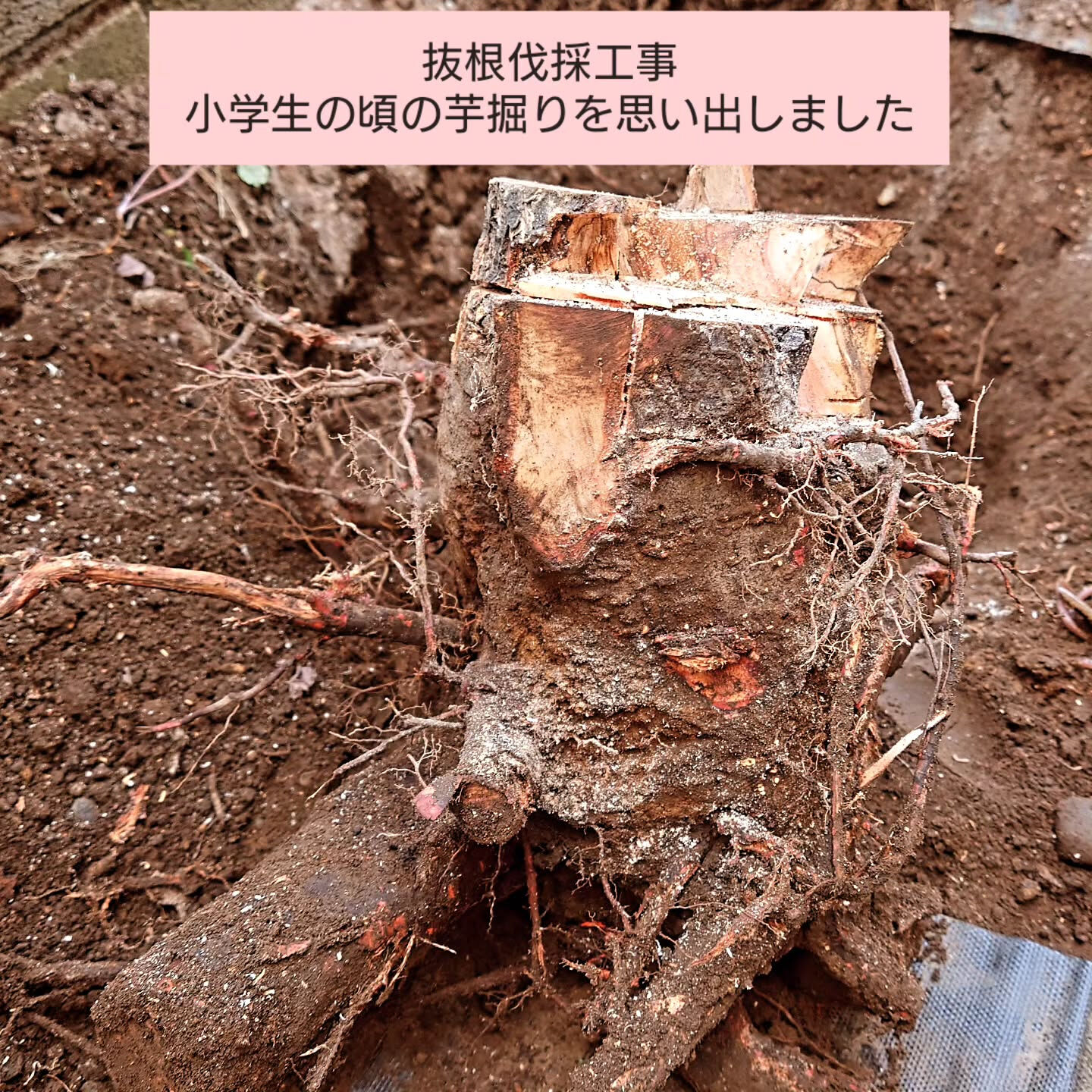 施工事例を更新していきます