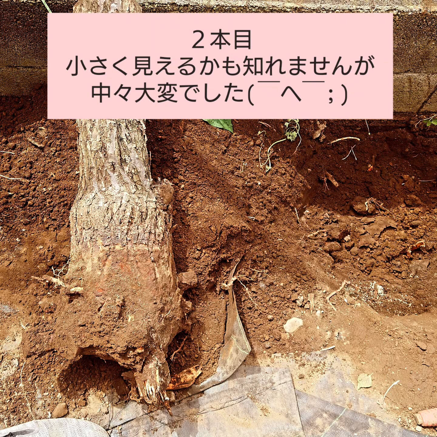施工事例を更新していきます