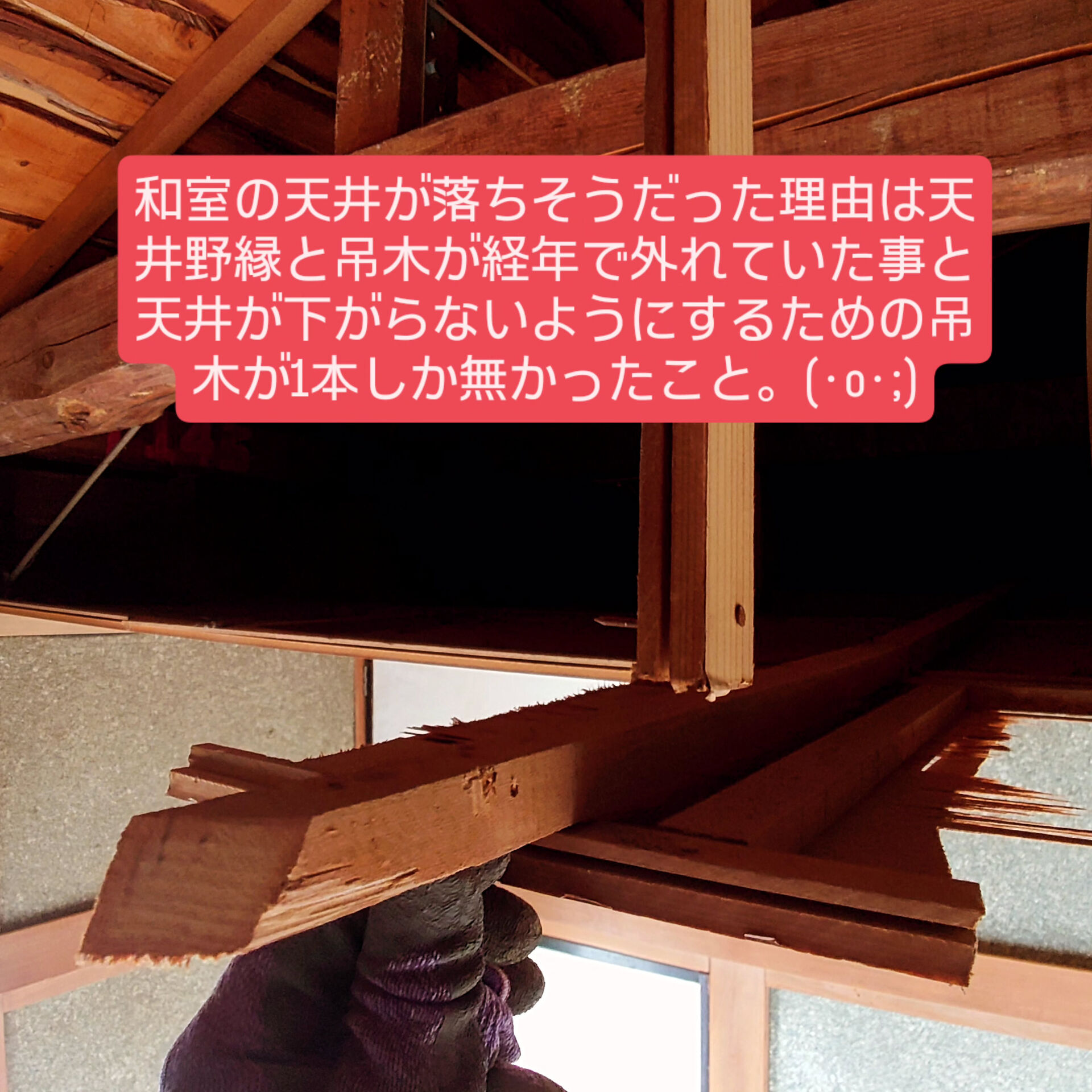 今回はプチリフォーム(⁠◍⁠•⁠ᴗ⁠•⁠◍⁠)
