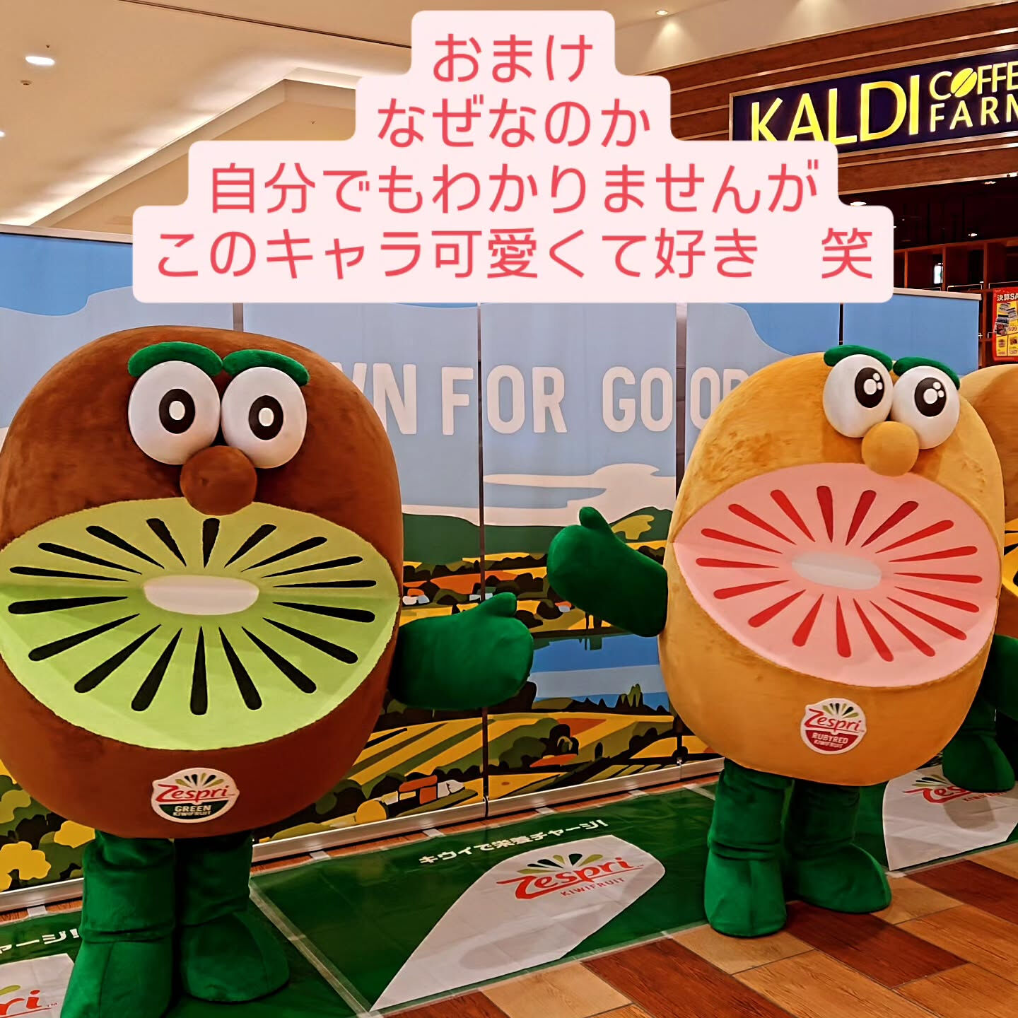 今回は板橋区にある築70年の平屋で屋根工事をしてきました